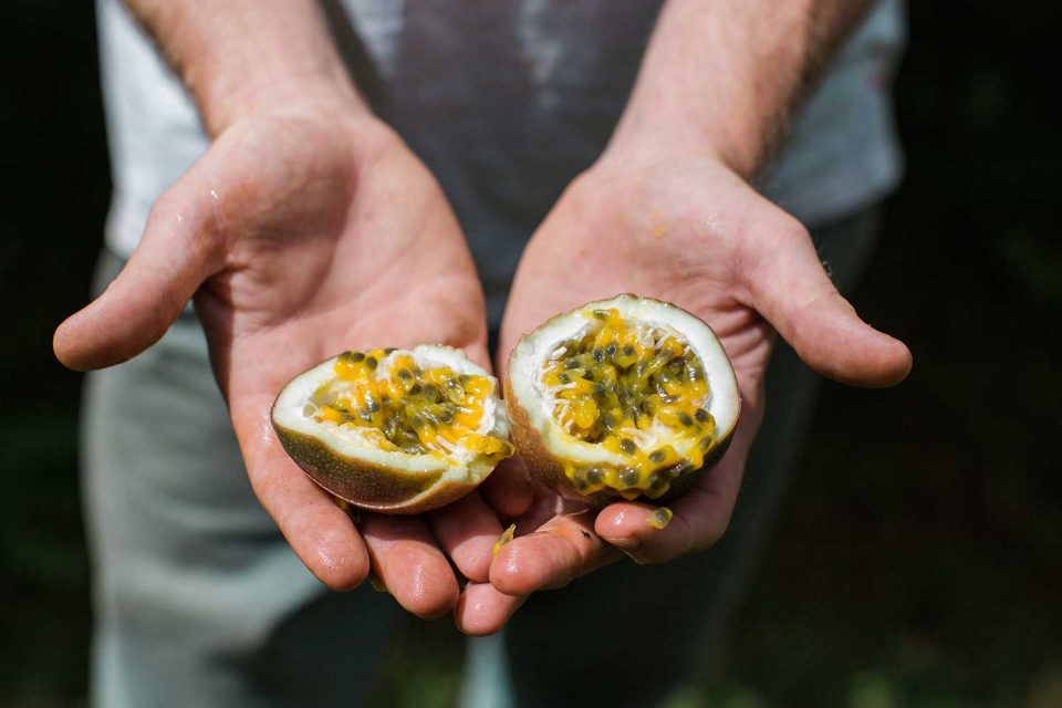 man holding opened liliko‘i in his hands