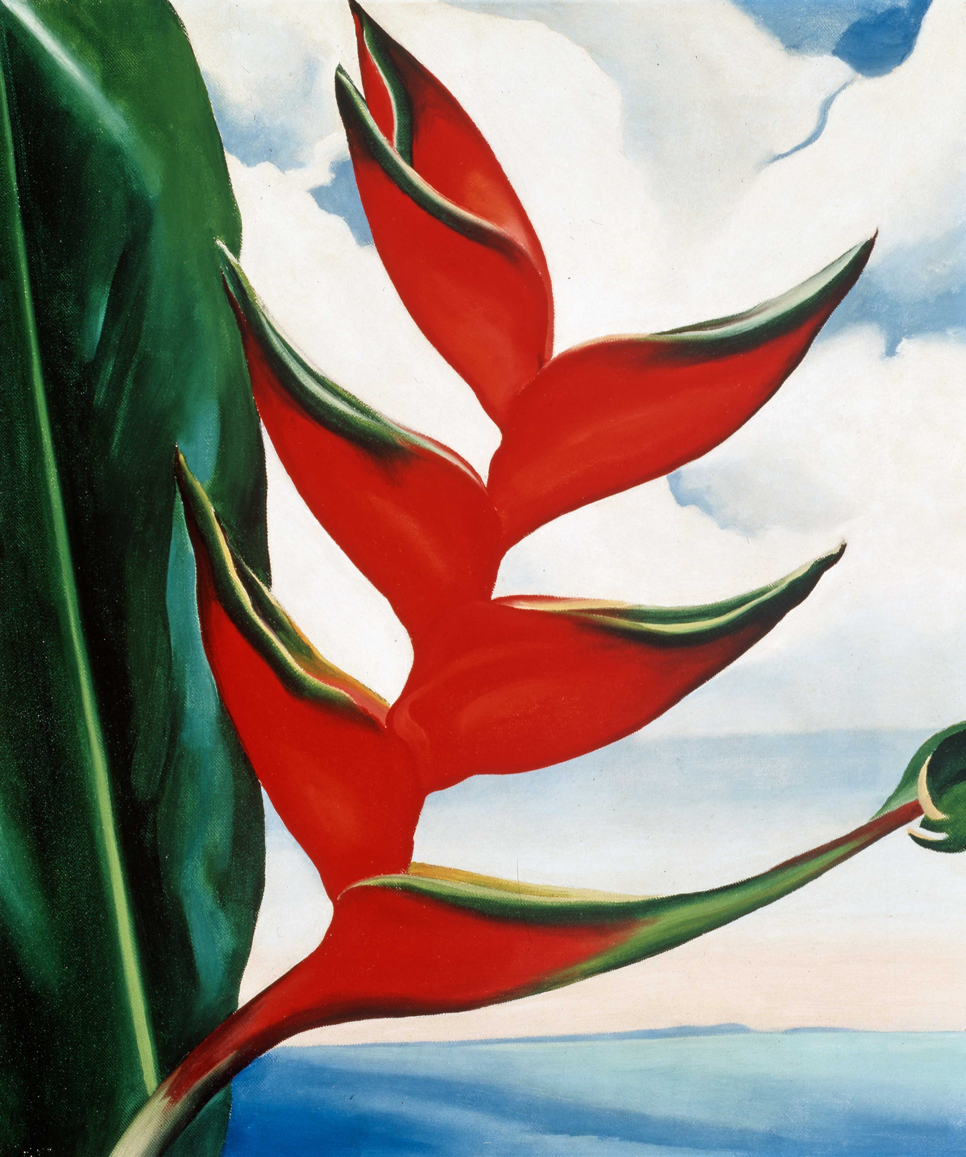 Georgia O’Keeffe. Heliconia, Crabs's Claw Ginger, 1939